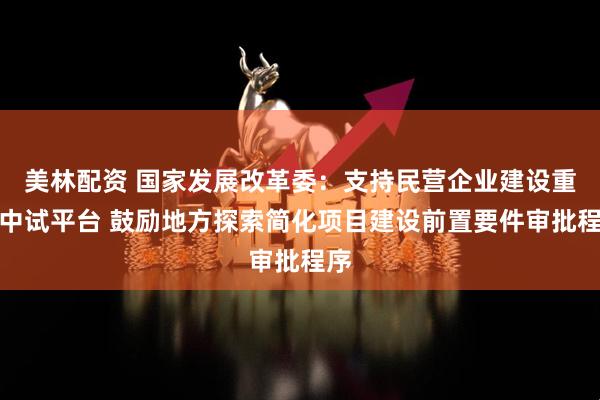 美林配资 国家发展改革委：支持民营企业建设重大中试平台 鼓励地方探索简化项目建设前置要件审批程序